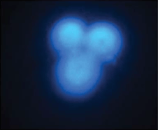 Non-Uniform Projected Beam